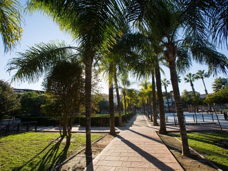 Foto 9925578c-f397-427b-846f-cc5ab0656a3b. Pis a Nou Moles Valencia