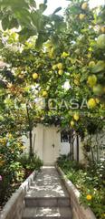 Casa  Carrer de don pelayo