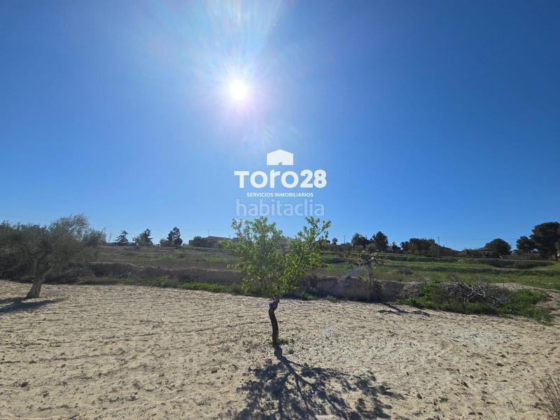 Foto 2d62ebb9-0312-4e4b-b4bc-970d2bcc20d0. Propriété dans Rebolledo Alicante