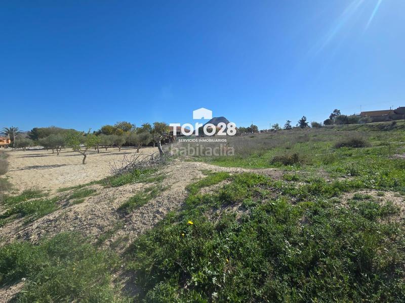 Foto aefa3af6-e46f-4c9b-b3f4-d88800867adb. Propriété dans Rebolledo Alicante