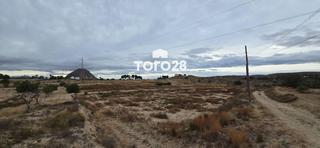 Finca rústica  N/a. Parcela rustica urbanizable 11.000m2 ptda santa ana  elche