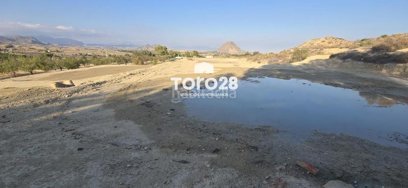 Foto 07cfb281-1f00-4892-972c-8b6f3d6f5ed3. Finca rústica 13.000 m2 rustico urbanizable en santa ana elche en Elche / Elx