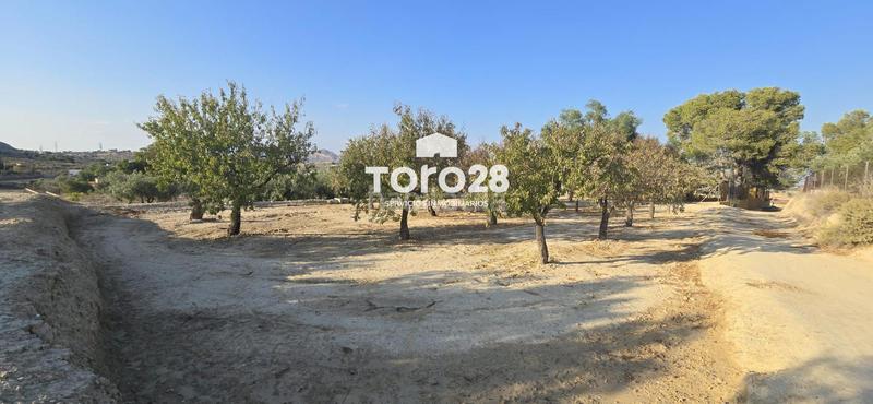 Foto 0b079f66-fc67-418b-81de-91974d37b313. Finca rústica 13.000 m2 rustico urbanizable en santa ana elche en Elche / Elx