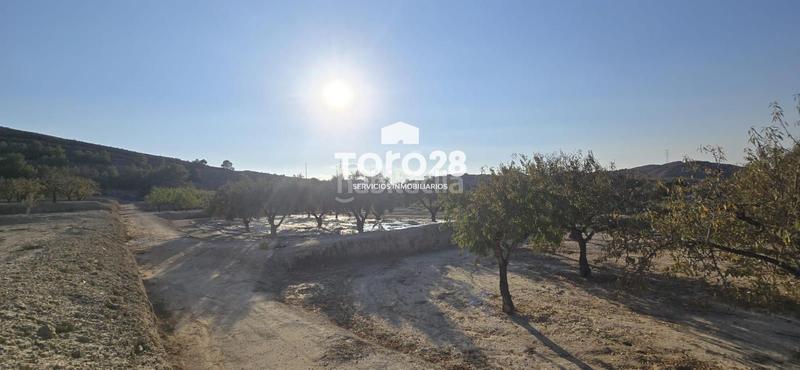 Foto 29f8f982-623b-448e-bd74-6f002d18c568. Finca rústica 13.000 m2 rustico urbanizable en santa ana elche en Elche / Elx