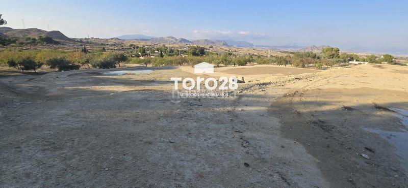 Foto 35c0fafc-b8f9-4789-993a-f47b74ab8436. Finca rústica 13.000 m2 rustico urbanizable en santa ana elche en Elche / Elx