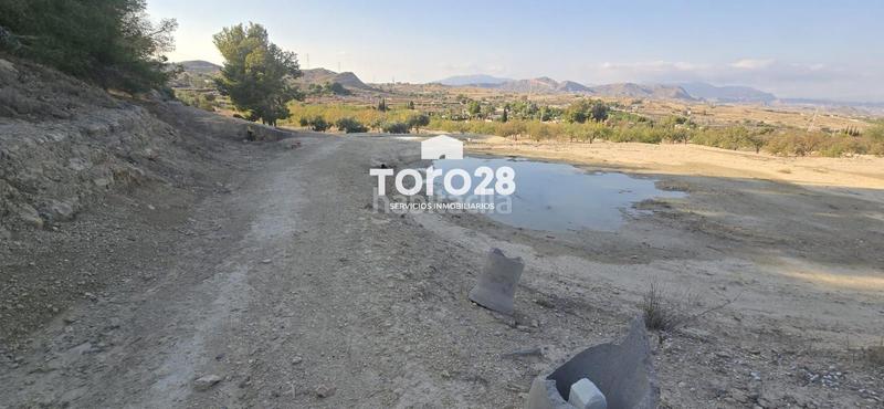 Foto 6671b402-ce1d-41de-9362-cfb70a75bd7d. Finca rústica 13.000 m2 rustico urbanizable en santa ana elche en Elche / Elx