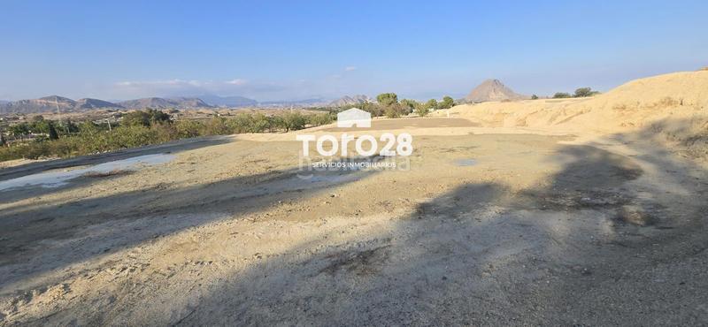 Foto 67dd47f3-7b20-4e33-a90c-1e9dd90848b1. Finca rústica 13.000 m2 rustico urbanizable en santa ana elche en Elche / Elx