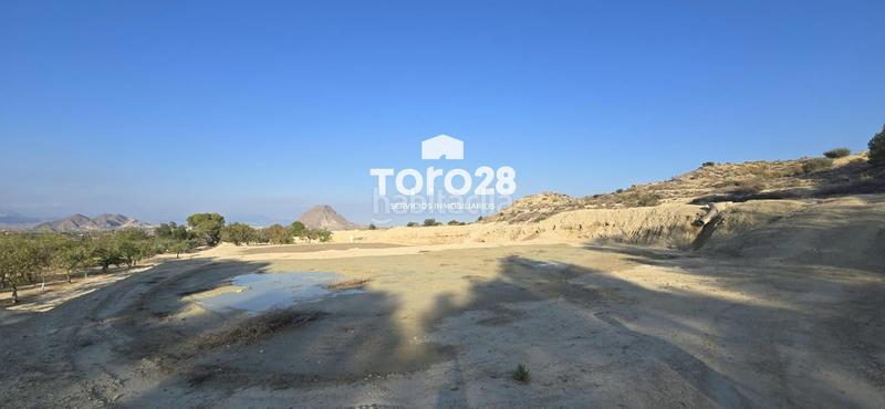 Foto 6a530836-e7b2-4159-bd3d-f8b4816ff393. Finca rústica 13.000 m2 rustico urbanizable en santa ana elche en Elche / Elx