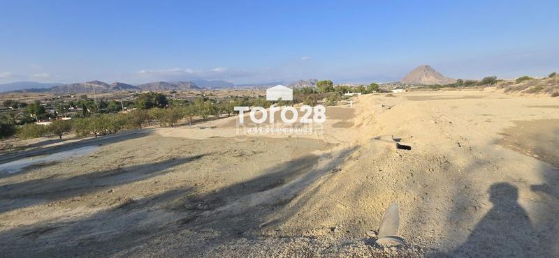 Foto 6d6ee801-b70c-4a6e-ae5f-9e17a805a6bf. Finca rústica 13.000 m2 rustico urbanizable en santa ana elche en Elche / Elx