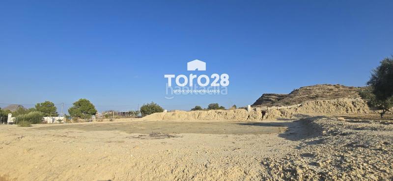 Foto 7c60b152-6b75-4acf-b27b-84627675fa21. Finca rústica 13.000 m2 rustico urbanizable en santa ana elche en Elche / Elx