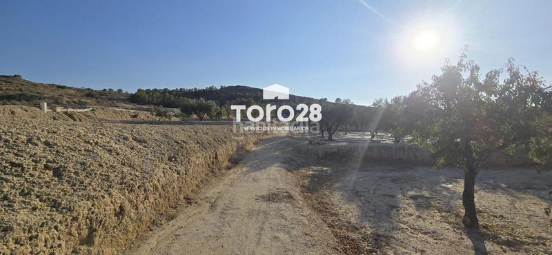 Foto 8111d0cc-fc6f-4aad-9920-ad943d0b2afd. Finca rústica 13.000 m2 rustico urbanizable en santa ana elche en Elche / Elx