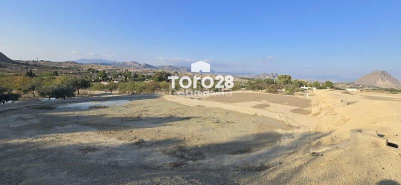 Foto 837000f9-dc29-4f5d-a743-f984b8e6074b. Finca rústica 13.000 m2 rustico urbanizable en santa ana elche en Elche / Elx