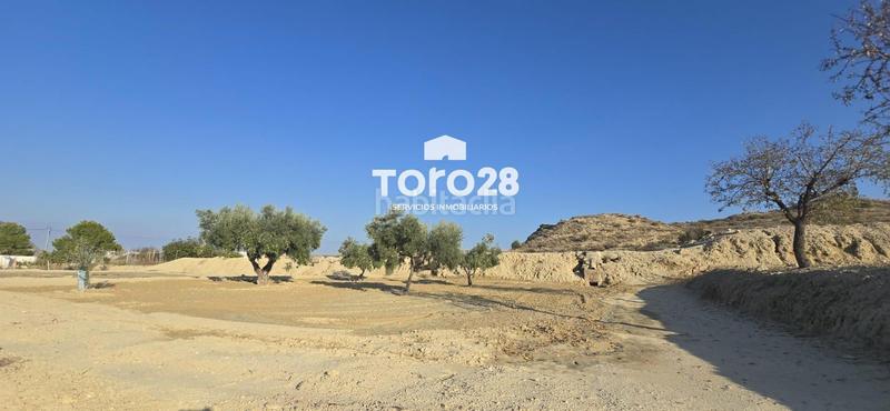 Foto 8e1576c2-fc24-481f-8f78-b64e3abfb643. Finca rústica 13.000 m2 rustico urbanizable en santa ana elche en Elche / Elx