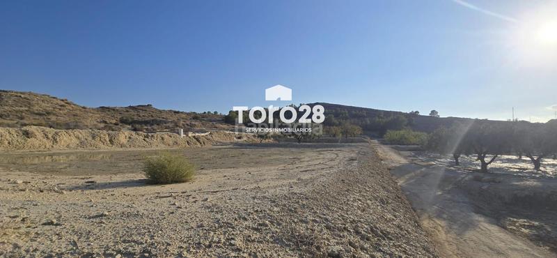 Foto 8e800c46-cafd-4926-a4a5-d1c9d9319679. Finca rústica 13.000 m2 rustico urbanizable en santa ana elche en Elche / Elx