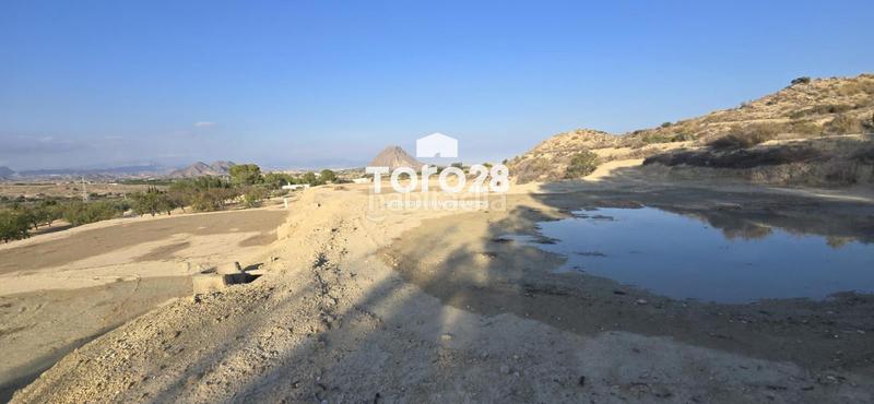 Foto aac4c633-7381-4912-8397-5c92c2601ce6. Finca rústica 13.000 m2 rustico urbanizable en santa ana elche en Elche / Elx