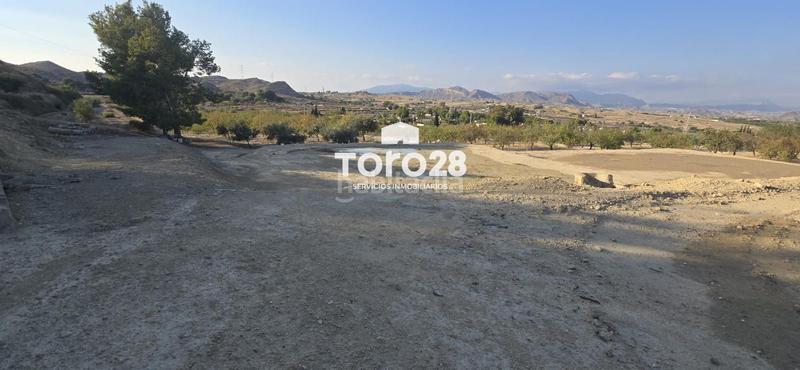 Foto adb790f8-0d57-45fd-9455-87e2cdec65ec. Finca rústica 13.000 m2 rustico urbanizable en santa ana elche en Elche / Elx