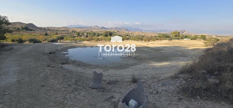 Foto c4caa2e4-f73f-4e57-9988-e398c38632c8. Finca rústica 13.000 m2 rustico urbanizable en santa ana elche en Elche / Elx