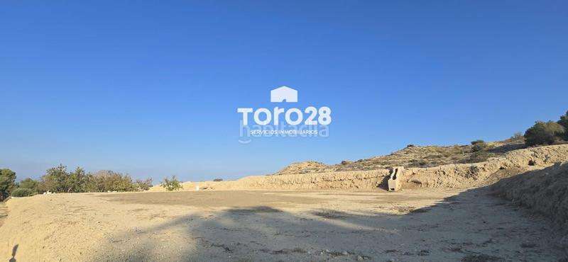 Foto d9aceb79-011d-4c28-a86c-649b0776ad83. Finca rústica 13.000 m2 rustico urbanizable en santa ana elche en Elche / Elx