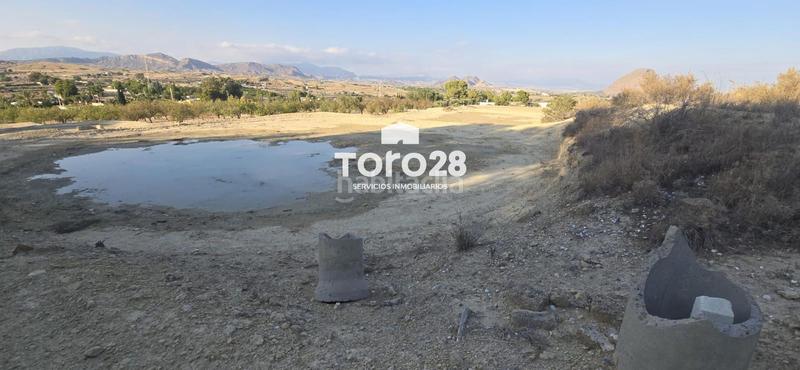 Foto ebc42d7c-9e06-4439-a9fb-dbb5d0b8f678. Finca rústica 13.000 m2 rustico urbanizable en santa ana elche en Elche / Elx