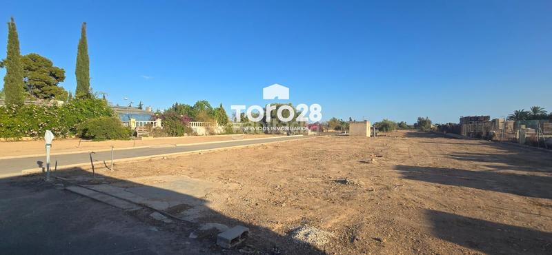 Foto d1a7ec11-4f17-4e65-a6ae-03eaf598850f. Xalet amb calefacció aparcament piscina a Valverde Elche / Elx