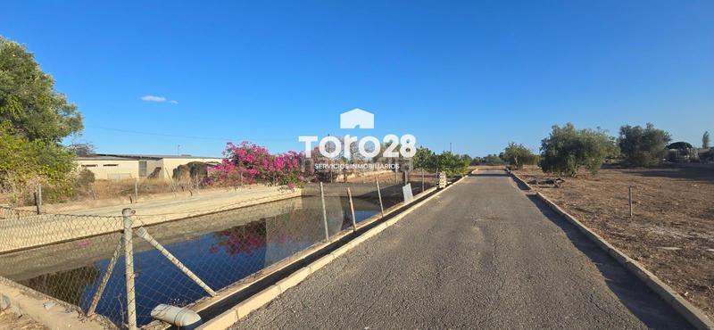 Foto e62424ca-f7e3-4af4-bfdf-47245ed890b2. Xalet amb calefacció aparcament piscina a Valverde Elche / Elx
