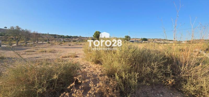 Foto b00c6902-832a-41e2-abf5-350aec10755f. Rural plot in Jubalcoi Elche / Elx