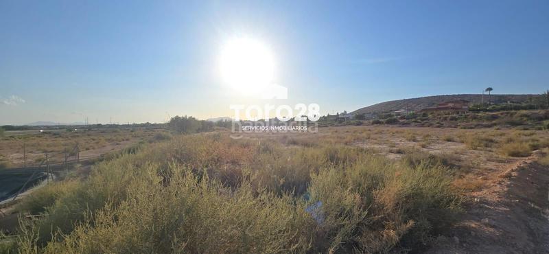 Foto c93a9696-db27-4e99-bfd6-6af57281660a. Rural plot in Jubalcoi Elche / Elx