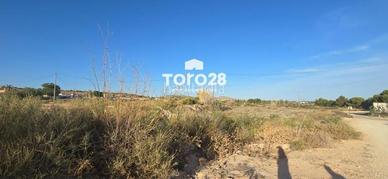 Foto ca300c05-9039-4c24-af9d-bfd11ba6ee10. Rural plot in Jubalcoi Elche / Elx