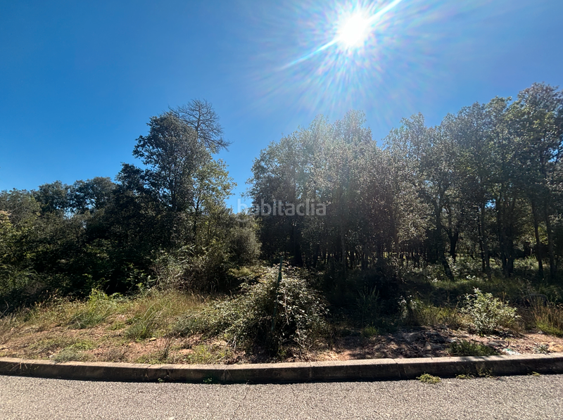 Foto de92cb56-d94f-4af6-867e-fb51eff4901d. Terreny residencial a calle cadí 2 a Seva