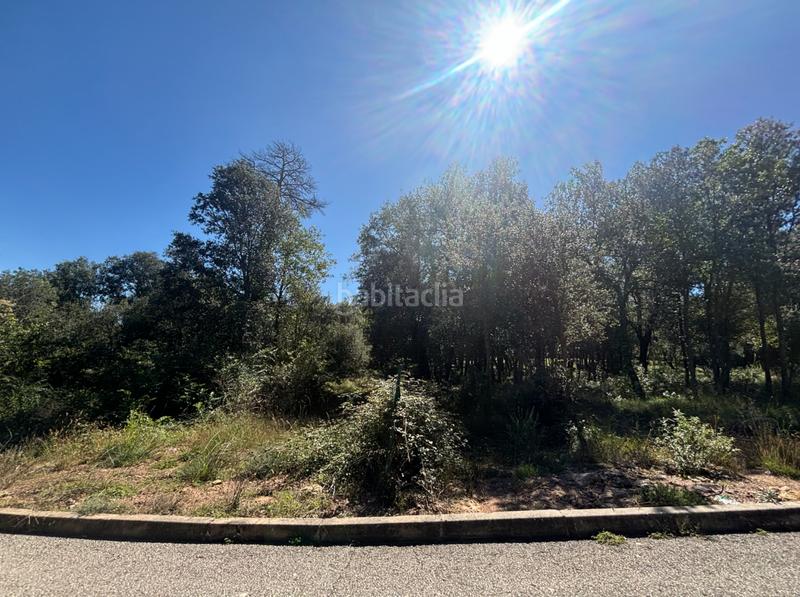 Foto 5408e444-e897-4e50-9904-672ce57599bf. Residential plot in calle cadí 4 in Seva