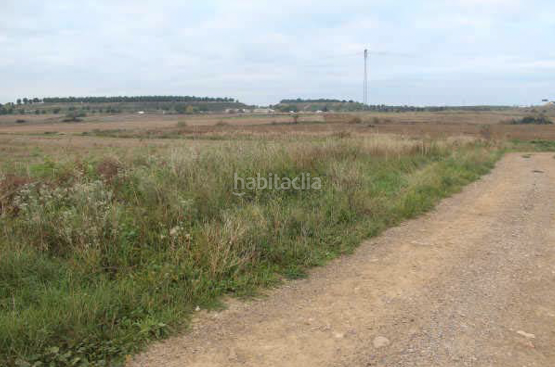 Foto 3d499de5-4fbf-444e-b548-b89ccaff7ee9. Solar industrial a vial camino 1 a Pedanías Huesca