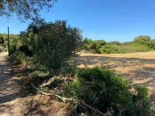 Masia a Las Canteras. Puerto realfinca rustica