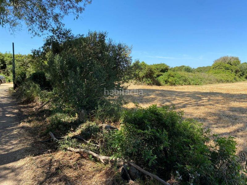 Foto c4dbd223-46a5-4342-bfa6-c9933fcb4055. Masía finca rustica en El Almedral Puerto Real