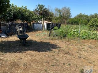 Bauernhof in El Almedral. Puerto realfinca rustica