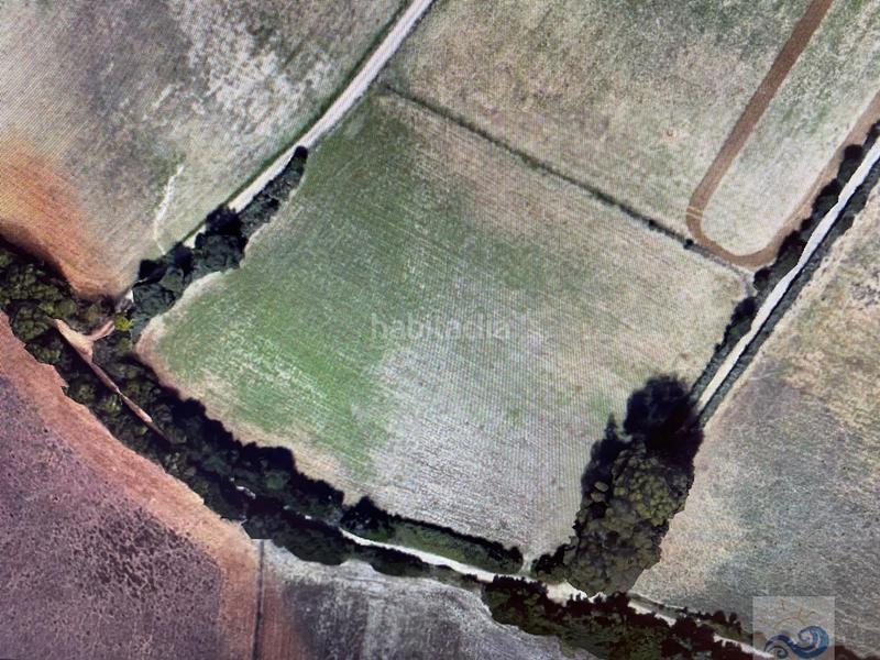 Foto 4ef16651-2746-47aa-adfc-90eed913230d. Masia a El Almedral Puerto Real