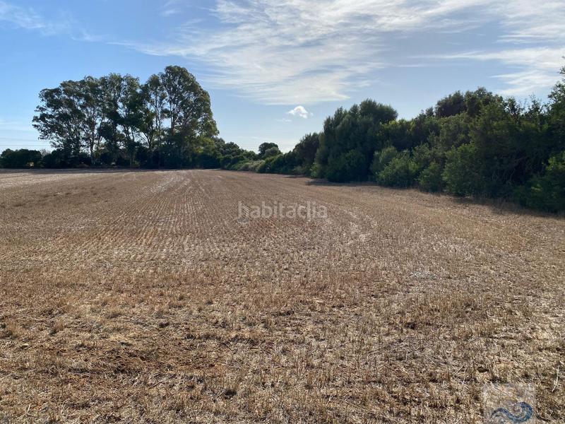 Foto 58322ee8-8a7c-4507-adc8-3e97056e7771. Masia a El Almedral Puerto Real