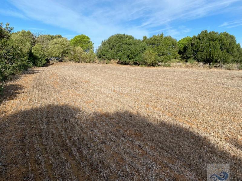 Foto 6579c5ac-ffac-43bd-97cd-e55d9c44332a. Masia a El Almedral Puerto Real