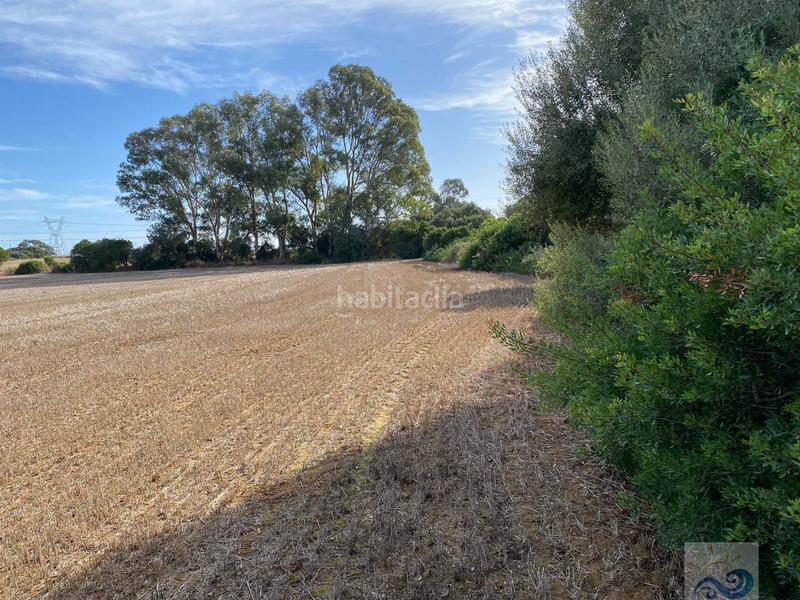 Foto 6b41bbdd-bd7c-455a-bdd8-92e3c4c24e85. Masia a El Almedral Puerto Real