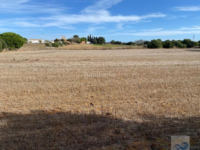 Foto 6e7d9e3b-1b22-4d2b-a436-27b6e3edf367. Masia a El Almedral Puerto Real