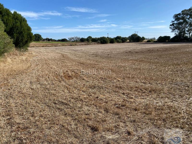 Foto ef73c2f2-17b8-4d15-82a3-e798d0003aab. Masia a El Almedral Puerto Real