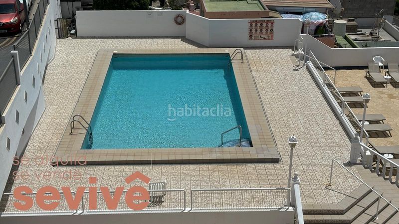 Foto 6aa15ac2-9704-4965-8759-91ed04bd1e61. Pis a montaña 1 a Los Cristianos Arona