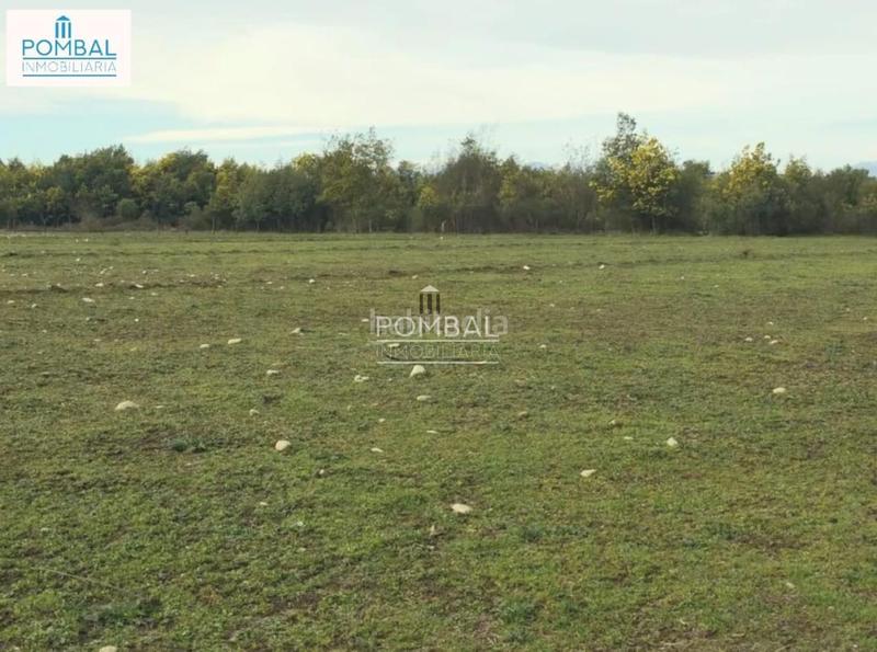 Foto 161cf354-b006-49ba-b9cb-75769b5bde2b. Finca rústica a Baltar