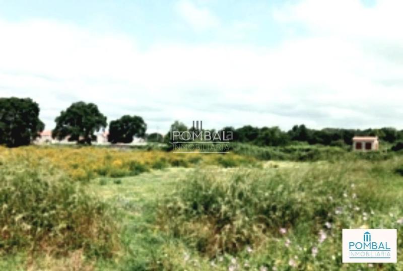 Foto 8a05e053-a00d-4182-be77-5437518e493e. Finca rústica a Baltar