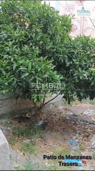 Foto 41111801-a29e-4254-b4c5-75eab0f78a82. Piso en Couto Ourense