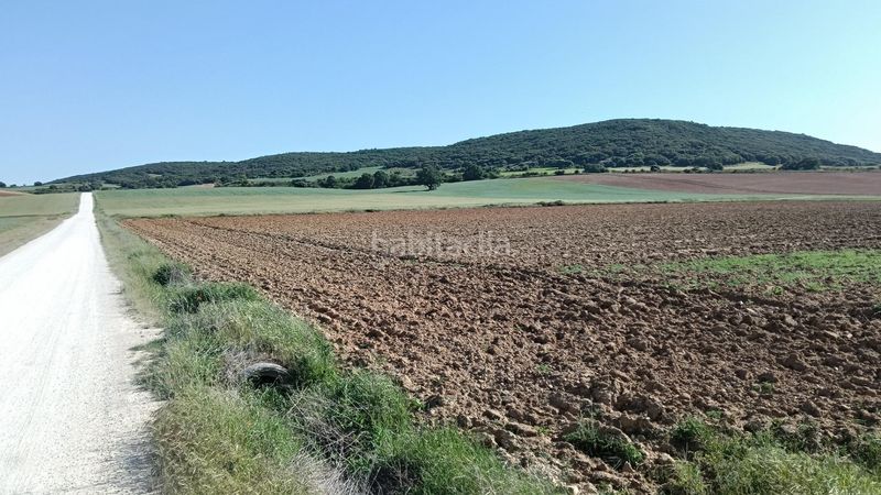 Foto 0d93518f-a044-4589-867a-f90217dcc76c. Finca rústica a Ibeas de Juarros