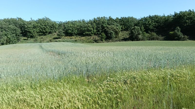 Foto 358a27c5-c1df-4661-b742-fe587aa881a6. Finca rústica a Ibeas de Juarros