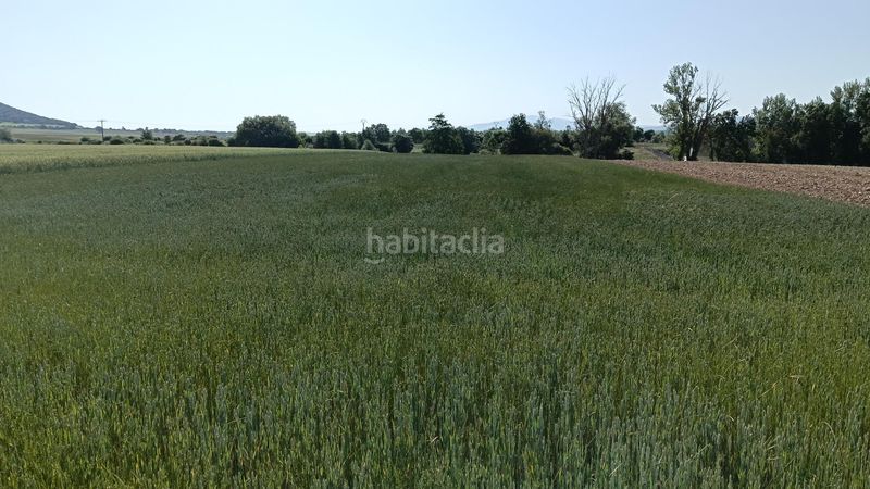 Foto 3cb422f0-693a-4000-9499-6075c2d70f4c. Finca rústica a Ibeas de Juarros