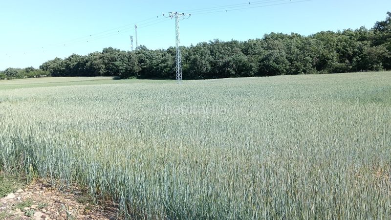 Foto 611a3410-77f1-4682-8b91-78b0b48de2e5. Finca rústica a Ibeas de Juarros