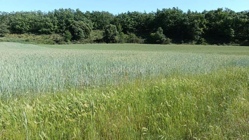 Foto 72aff5ef-d825-43c7-84e1-53693ba8812f. Finca rústica a Ibeas de Juarros