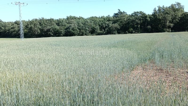 Foto a2e87428-72e5-4d7c-9a18-48d587048001. Finca rústica a Ibeas de Juarros